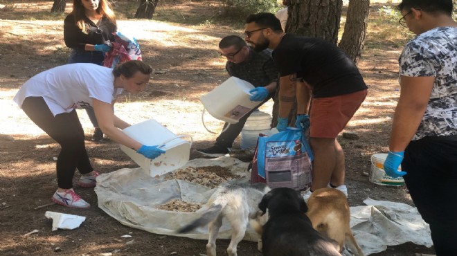  Sihirli Eller  ormandaki can dostları besledi