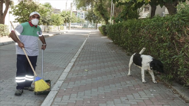 Üç bacaklı sokak köpeği, temizlik işçisini 5 yıldır yalnız bırakmıyor