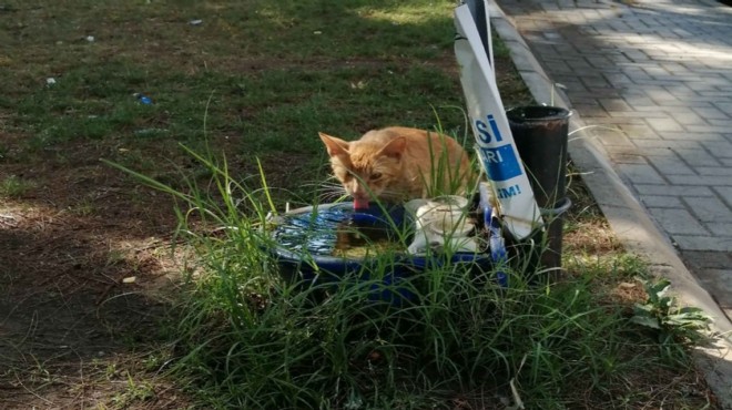 1 kap su kampanyasına  otomatik  destek