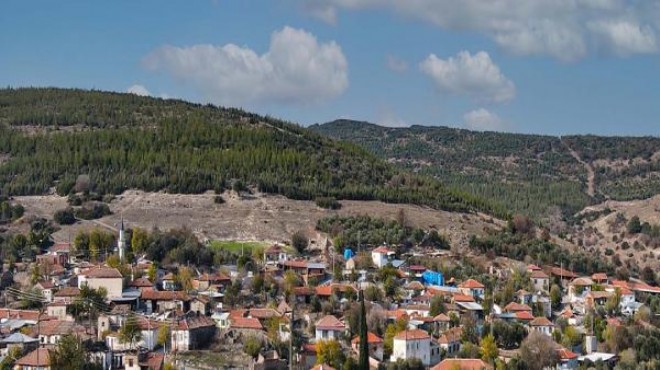 10 yıl önce ağaçlandırılan alan mahalleyi erozyon ve selden koruyor