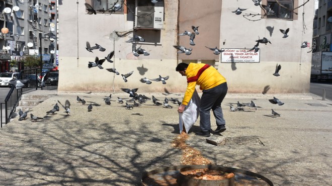 15 yıldır topladığı kırıntılarla kuşları besliyor