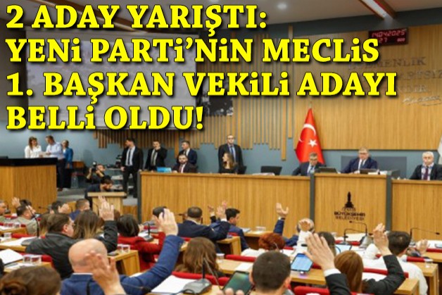 2 aday yarıştı... YENİ Parti'nin meclis 1. başkan vekili adayı belli oldu