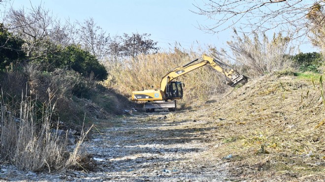 2019’da 600 kilometrelik dere yatağı temizlendi