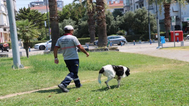 3 bacaklı Kola ve temizlik işçisinin 11 yıllık dostluğu