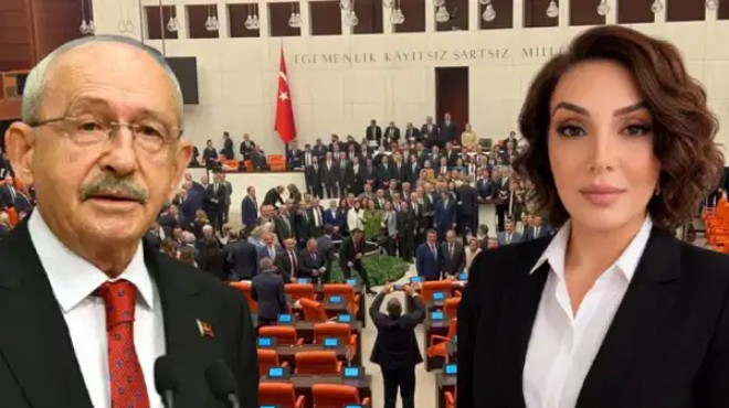 4 gün önce göreve gelmişti:  Çerçeve Yasa  istifası