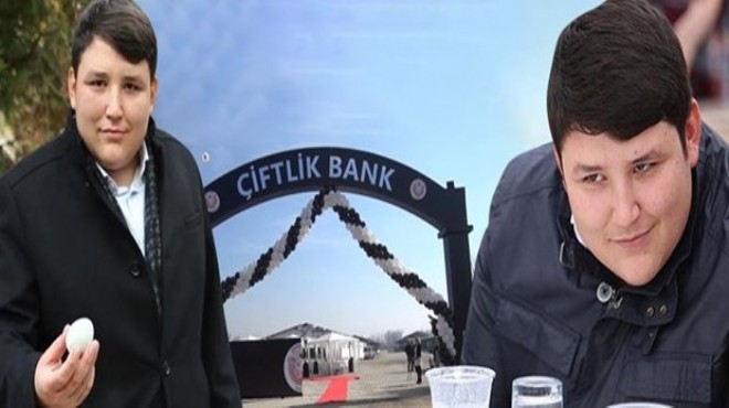 7 ilde  Çiftlik Bank  operasyonu: 4 tutuklama