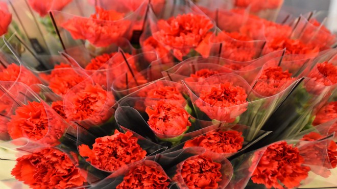 8 Mart öncesi karanfile yoğun ilgi