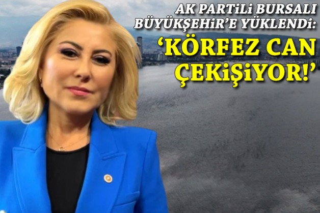 AK Partili Bursalı Büyükşehir'e yüklendi: 'Körfez can çekişiyor'