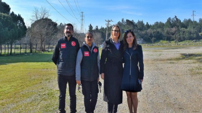 AK Partili Çankırı'dan hayvan severlere müjde!