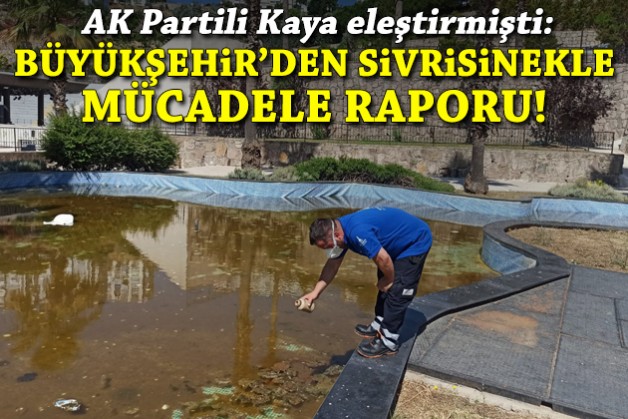 AK Partili Kaya eleştirmişti: Büyükşehir'den 254 bin noktada sivrisinekle mücadele!