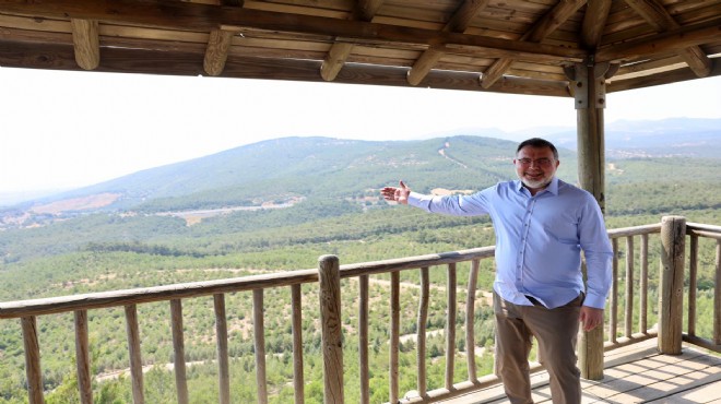 AK Partili Saygılı’dan orman raporu: 114 bin hektarda ağaçlandırma!