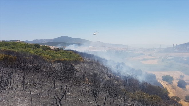 Ağaçlandırma sahasında korkutan yangın