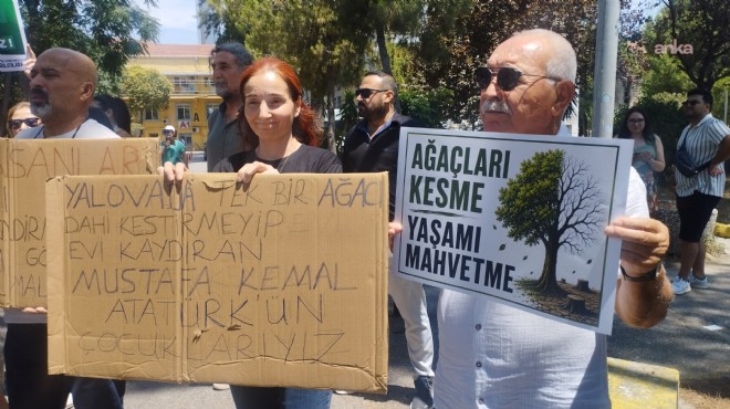 Ağaçlara kırmızı çarpı: Suat Seren de tepki!