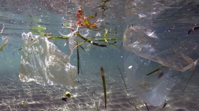 Akdeniz de plastik facia uyarısı!