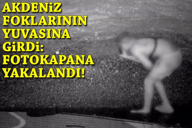 Akdeniz foklarının yuvasına girdi: Fotokapana yakalandı!