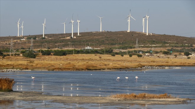 Alaçatı kuşlarıyla da turist çekecek!