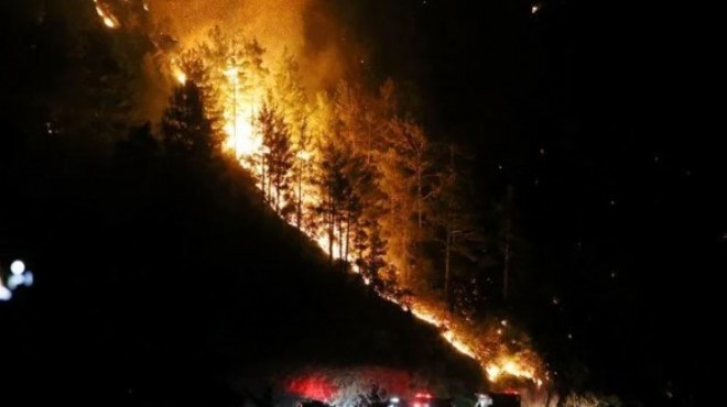 Alanya'da 4 farklı noktada orman yangını!