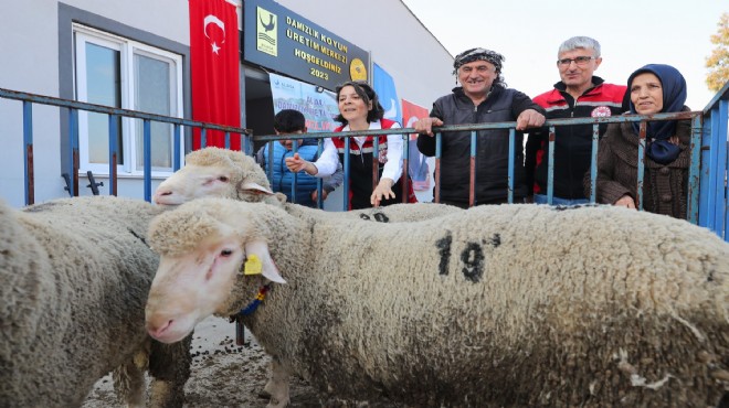 Aliağa da belediyeden hayvancılığa ivme kazandıran merkez
