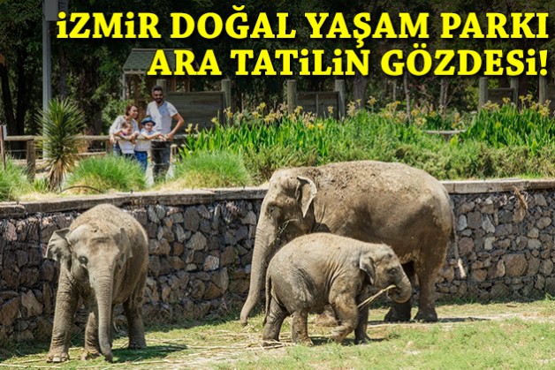 Ara tatilin gözdesi İzmir Doğal Yaşam Parkı!