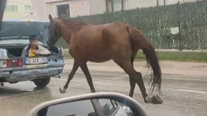 Atı 4 kilometre koşturdu, 7 bin lira ceza yedi