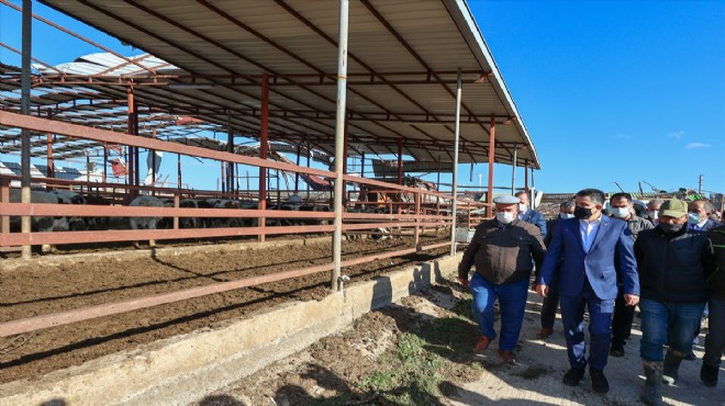 Bakan Pakdemirli'den İzmir'de afet mesaisi: 70 yılda bir görülen bir hadise!