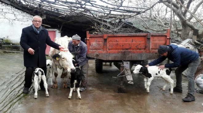 Bakan Pakdemirli'den dördüz doğuran ineğe altın