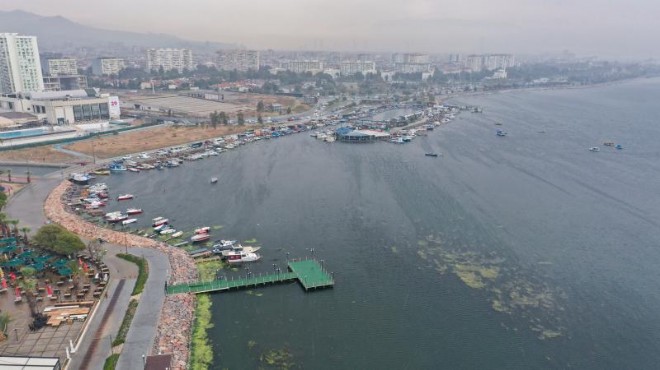 Bakanlık'tan İzmir Körfezi'ne mercek: Çok kötü durumda... Geçen yılla aynı!