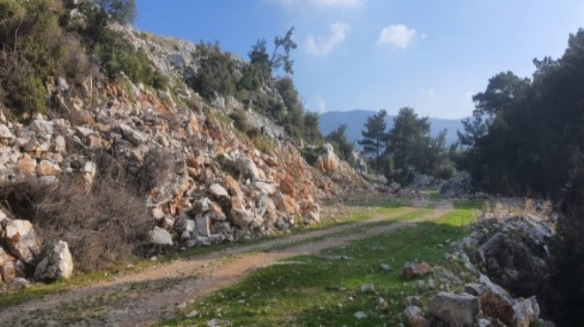 Bakanlıktan İzmir de doğayı kurtaran karar!