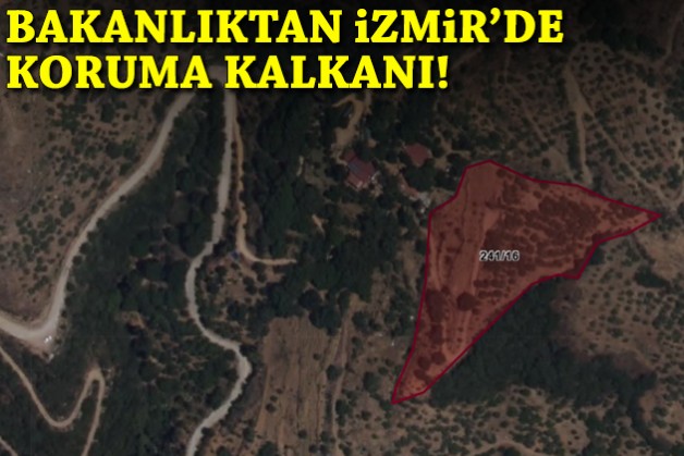 Bakanlıktan İzmir'de koruma kalkanı!