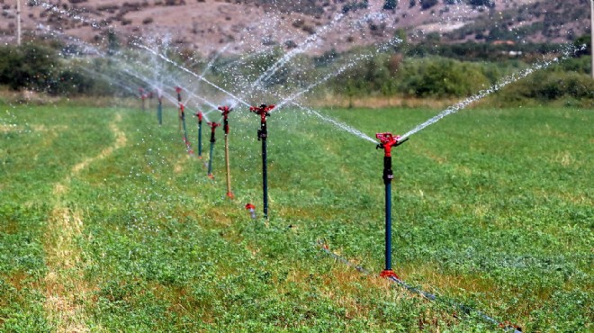 Bakırçay'da hasat zamanı!