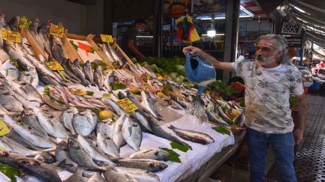 Balıkçı esnafı: Müsilaj satışları düşürdü