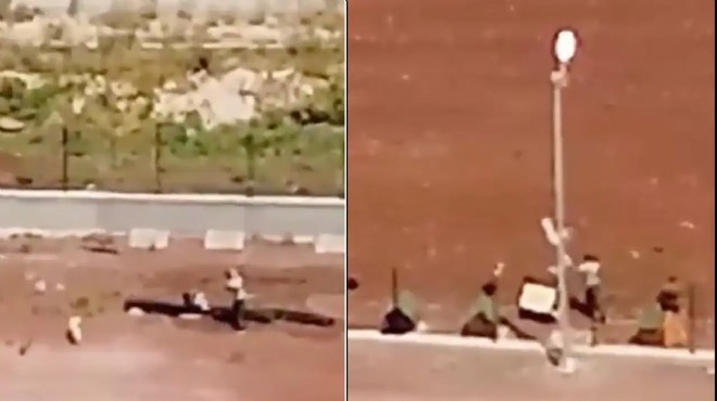 Barınakta şiddet: Personele soruşturma başlatıldı!