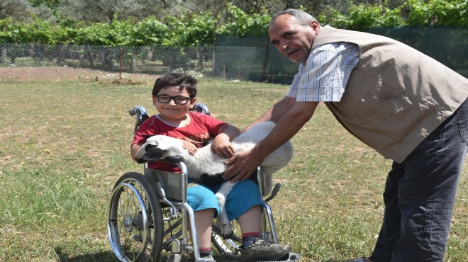 Barış zorlu yolculukta zafere doğru ilerliyor!