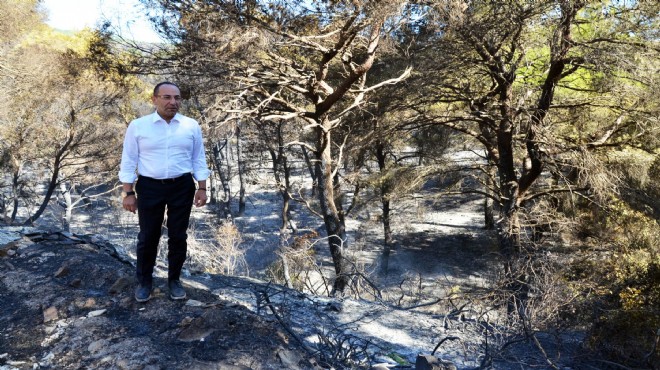 Başkan Oğuz yangın bölgesinde: Yeniden ağaçlandıracağız
