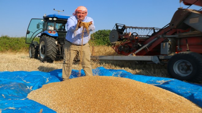 Başkan Oran'dan ilk hasat mesaisi… ‘Sürdürülebilir tarım' mesajı!