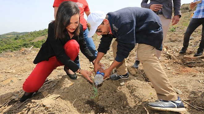 Başkan Sengel'den 'yeşil' mesai