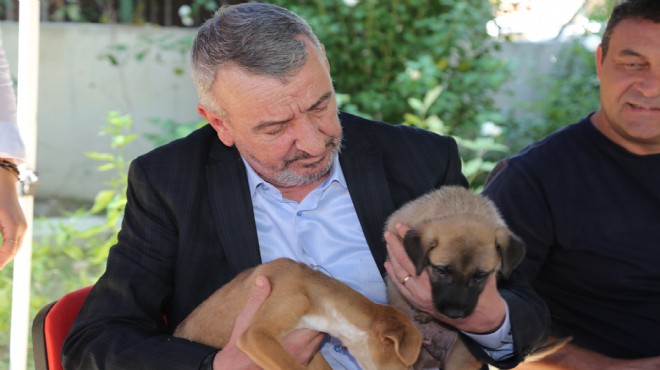 Başkan Şenol'dan çağrı: Satın alma, sahiplen!