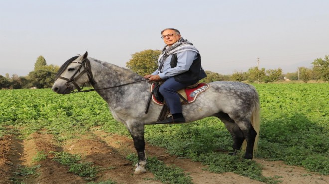 Bayındır'da Rahvan atlar ilk kez koşacak