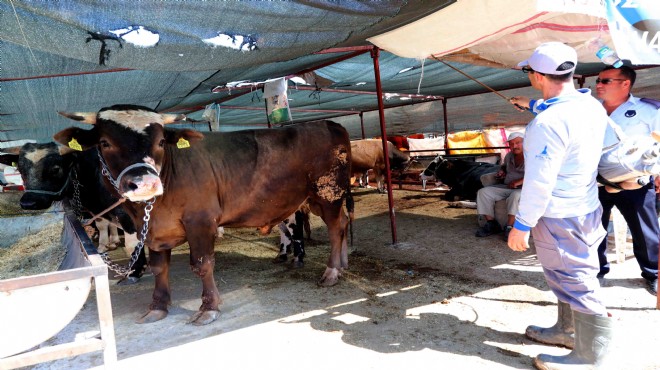 Bayraklı Belediyesi Kurban Bayramı'na hazır