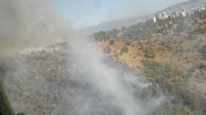 Bayraklı'da mahalle yakınında orman yangını