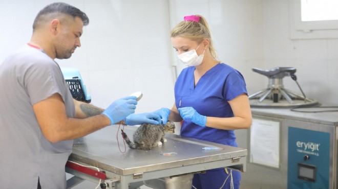 Bayraklı’da can dostlara modern bakım merkezi