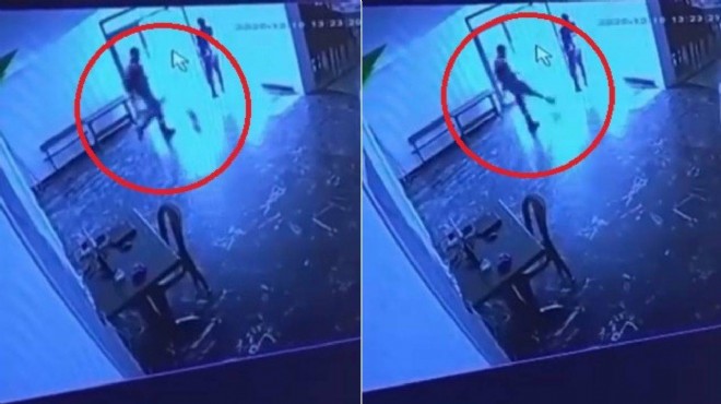 Belediyeye ait tesiste kediye şiddet!