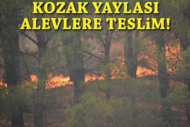 Bergama Kozak Yaylası alevlere teslim!