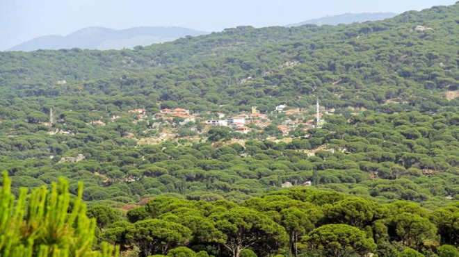 İzmir de doğayı tehdit eden madene 10 yıllık verilerle ÇED vizesi!