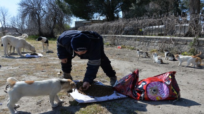 Bergama'da sokak hayvanları unutulmadı!