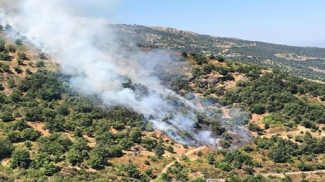 Beydağ'da 2 dekar ormanlık alan yandı