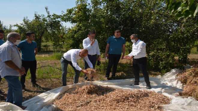 Beydağ'da sıkıntılara 'kooperatif' neşteri vurulacak