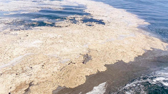 Bilimden ‘müsilaj' açıklaması: Ege Denizi'ne sıçrar mı?