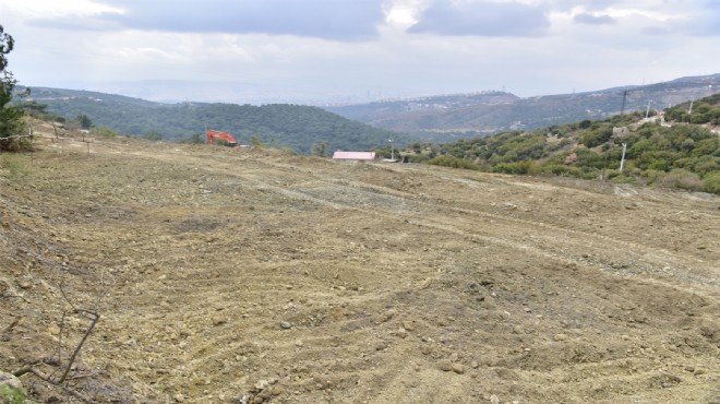 Bornova Misketi için yeni bağ: Rekolte iki katına çıkacak!