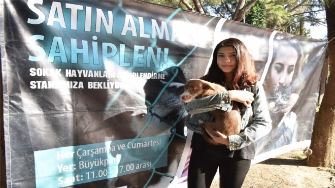 Bornova can dostların da evi!